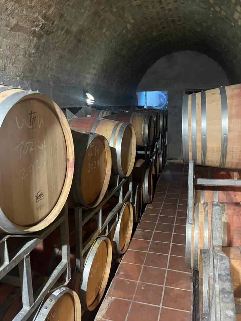 Wine barrels in the Vintner's Bond cellar